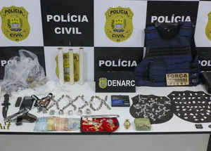 Material ilícito apreendido pelo Denarc