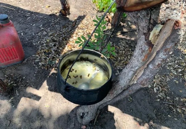 Os fiscais do MPT constataram que a alimentação das vítimas era precária