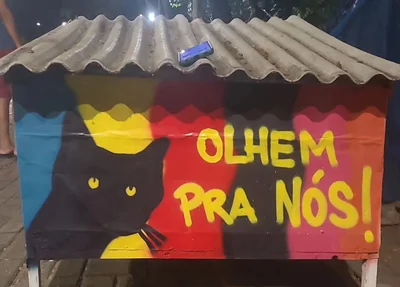 Pintura nas casas para animais trouxe cor para a Avenida Marechal