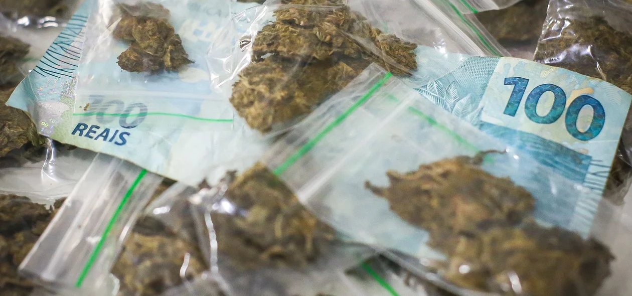 Polícia apreendeu grande quantidade de drogas