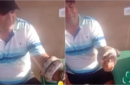 Suplente de vereador é flagrado dando cachaça para cobra no Piauí