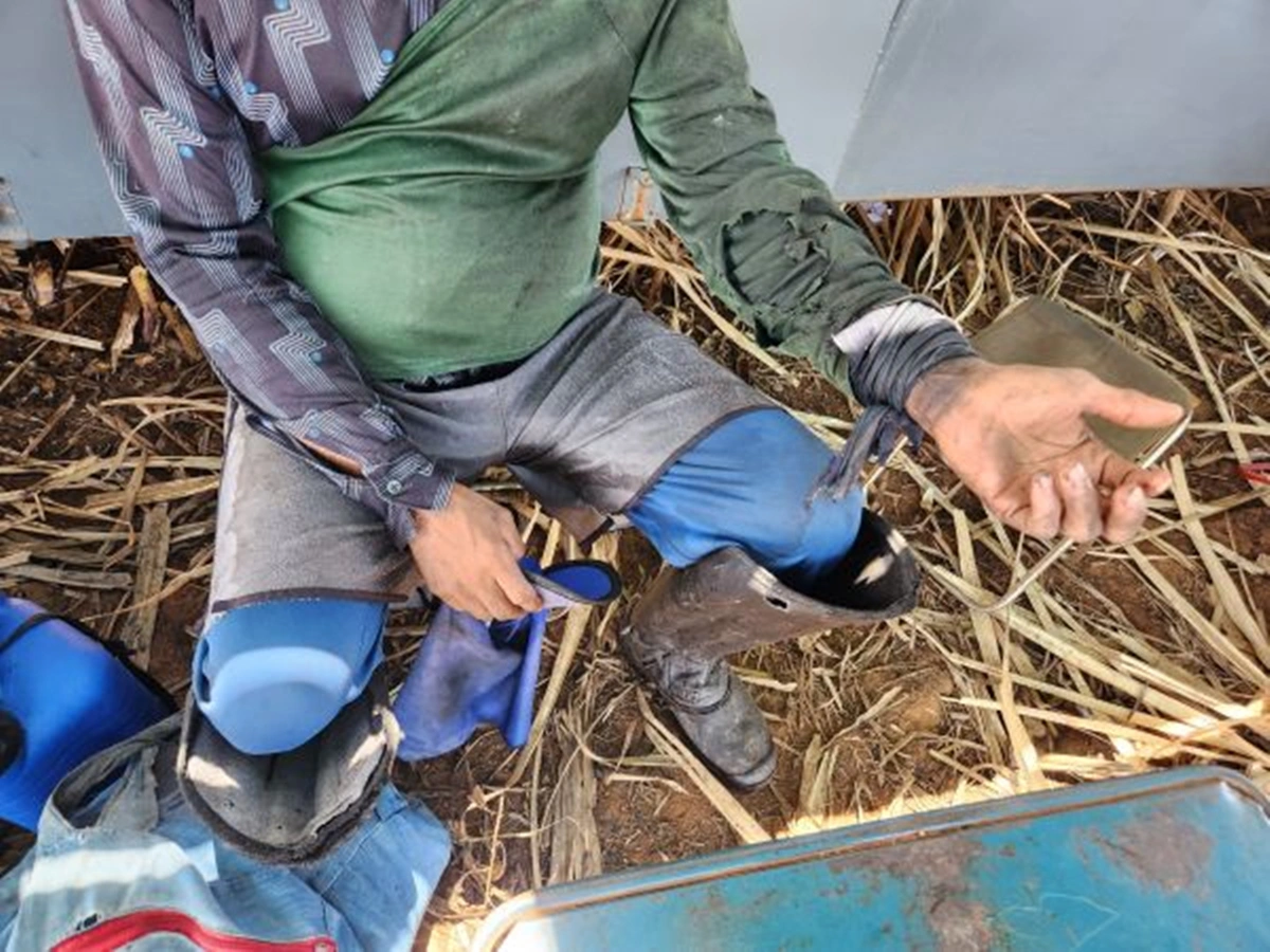Vítimas trabalhavam no corte da cana-de-açúcar em usina no Goiás