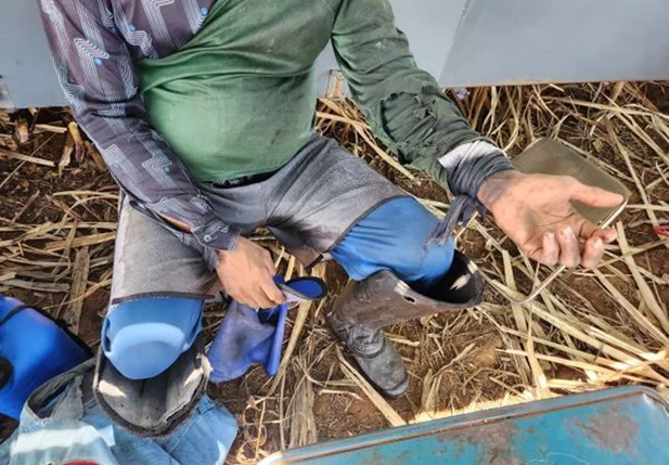 Vítimas trabalhavam no corte da cana-de-açúcar em usina no Goiás