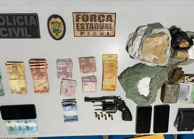 Apreensões feitas em operação no Sul do Piauí