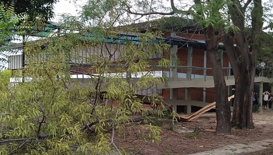 Árvore caiu na UFPI e derrubou fios de alta tensão