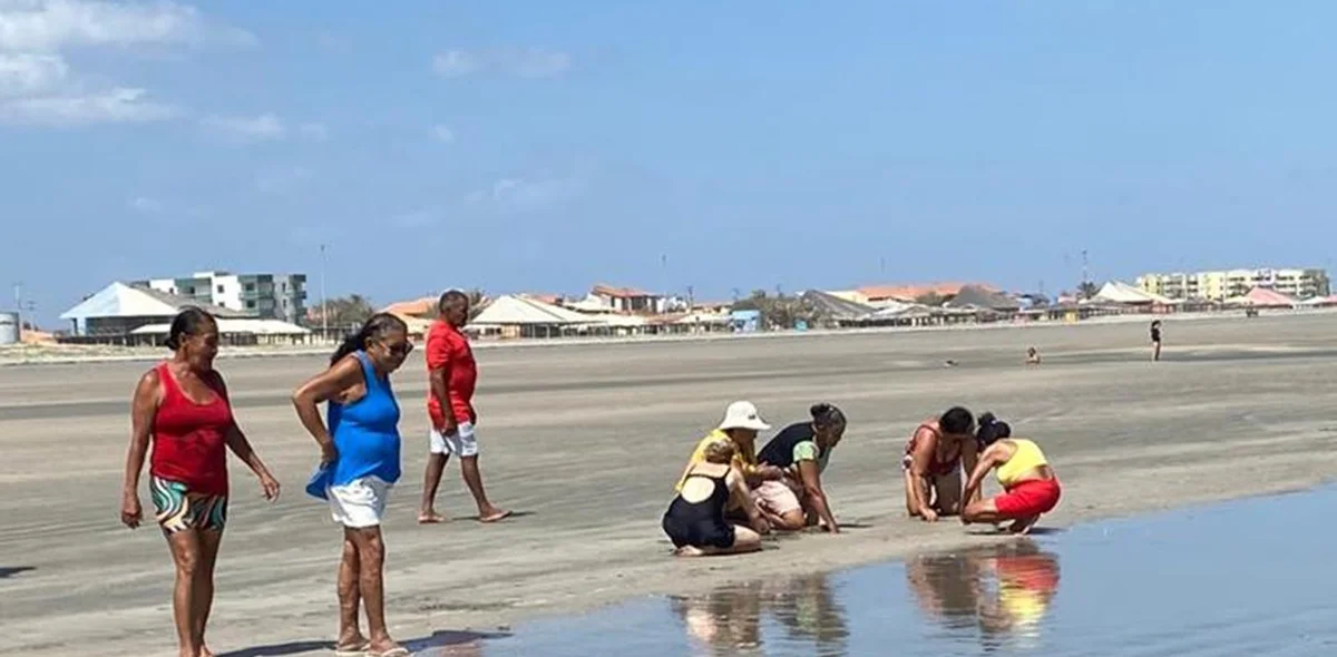 As pessoas aproveitando o passeio