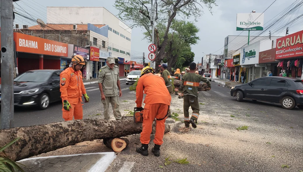 Corpo de Bombeiros registrou aumento nas quedas de árvores após vendaval