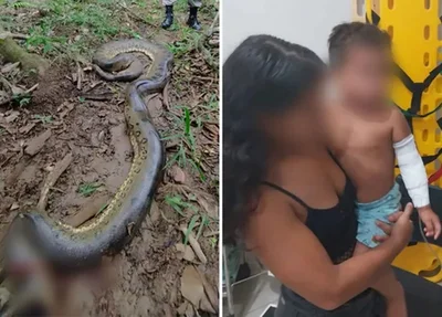Criança sofreu apenas ferimentos leves e a cobra foi sacrificada