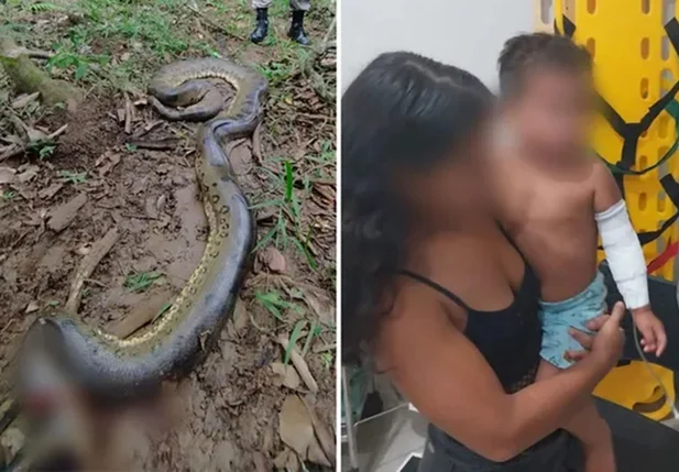 Criança sofreu apenas ferimentos leves e a cobra foi sacrificada