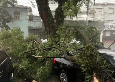Defesa Civil de São Paulo
