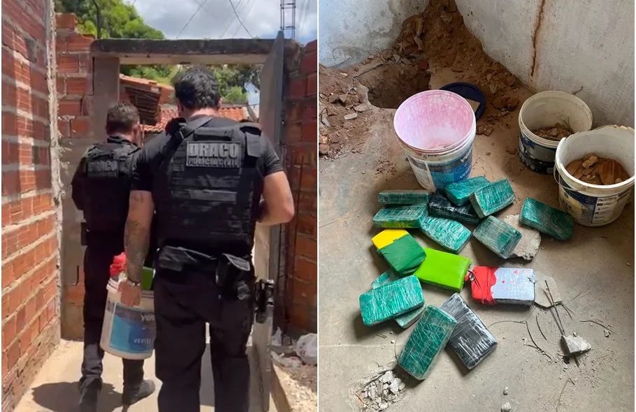 Droga foi encontrada com auxílio de um cão farejador