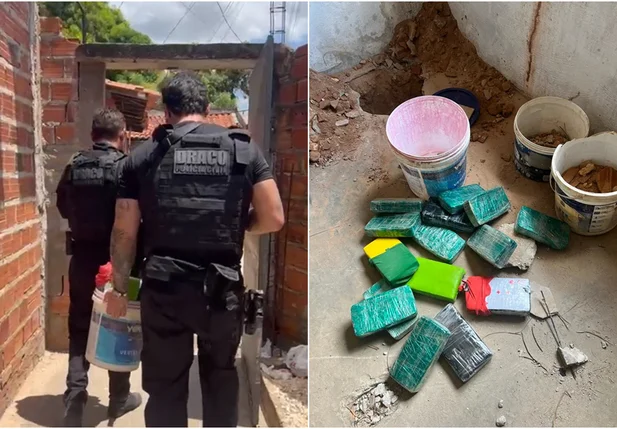 Droga foi encontrada com auxílio de um cão farejador