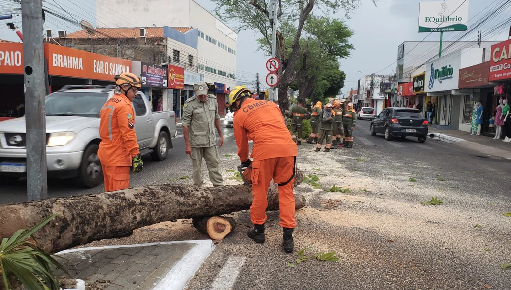 Durante vendaval, árvores caíram por Teresina