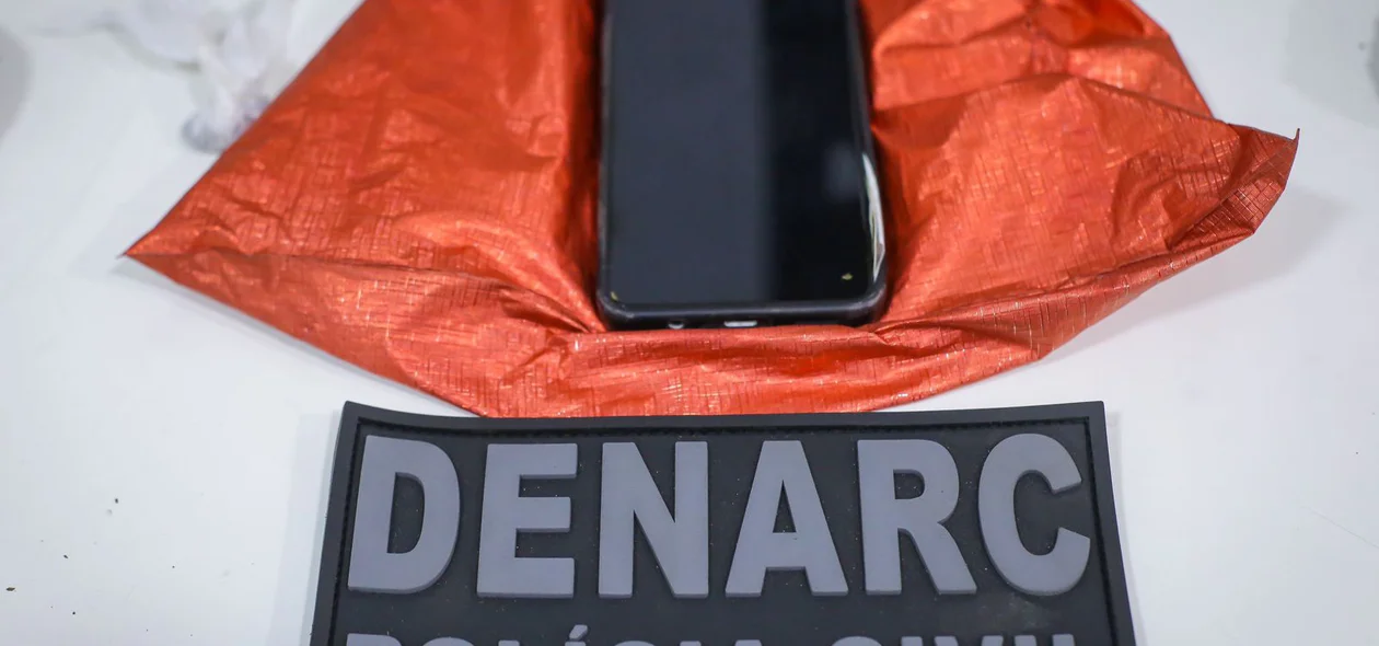 Equipe da DENARC efetuou a apreensão da droga