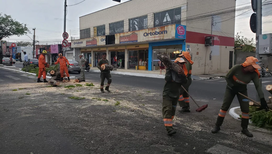 Equipes realizaram a limpeza do local