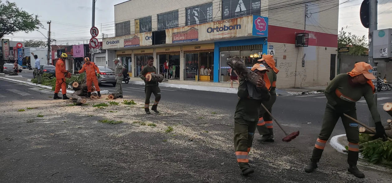 Equipes realizaram a limpeza do local