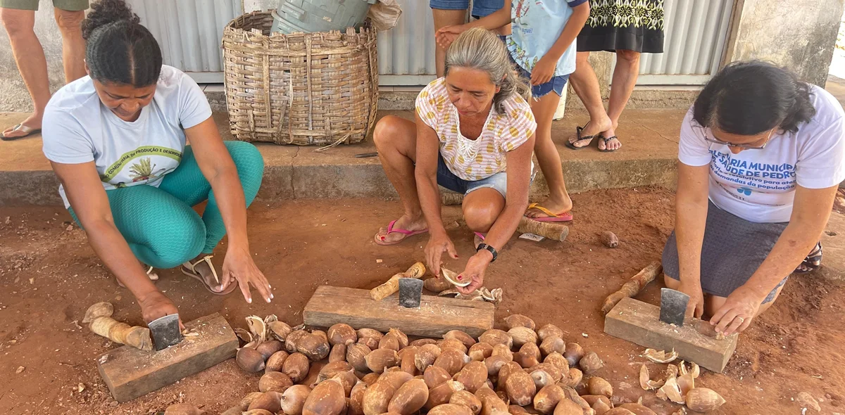 Mulheres quebrando coco na comunidade Gameleira