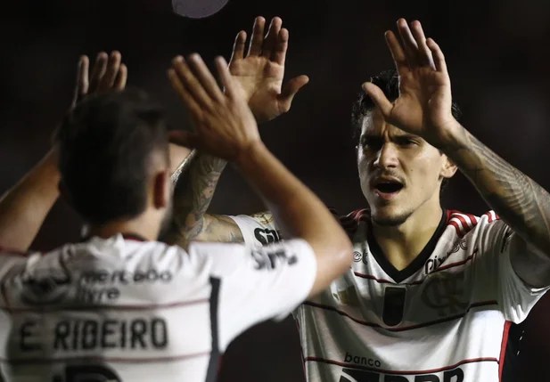 Pedro e Éverton Ribeiro marcaram gols na vitória do Flamengo