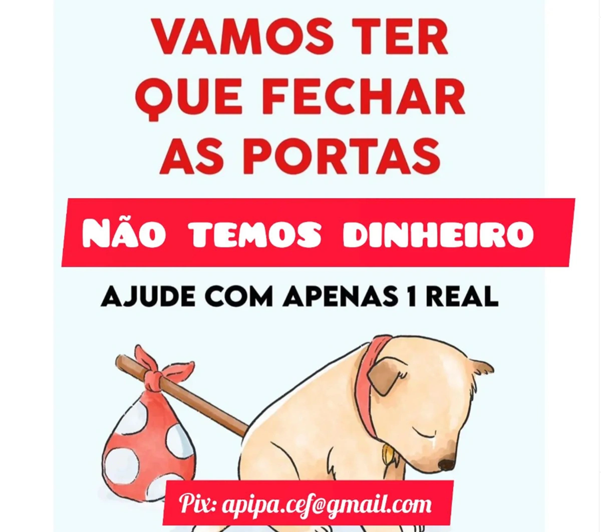 Pôster de campanha da Apipa