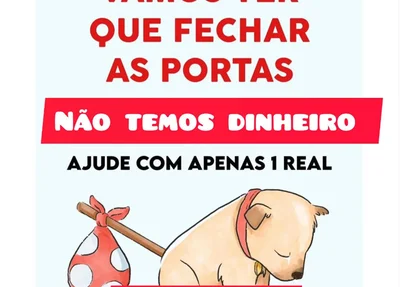 Pôster de campanha da Apipa