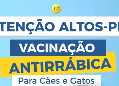 Prefeitura de Altos anuncia vacinação antirrábica para cães e gatos