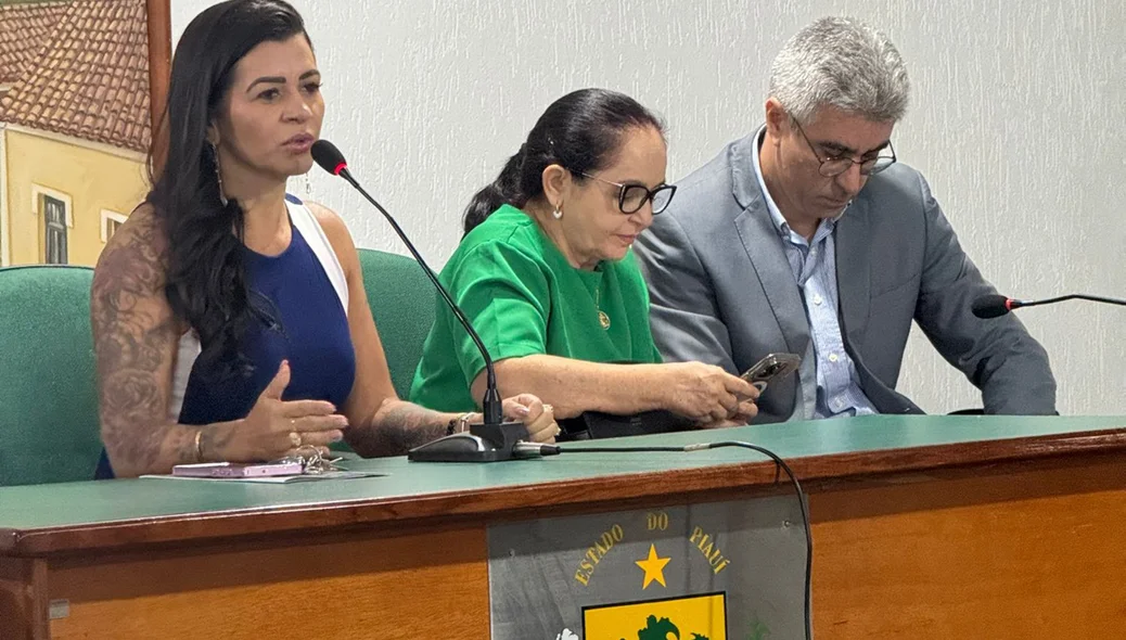 Prefeitura de Pedro II apresenta projeto para iluminação