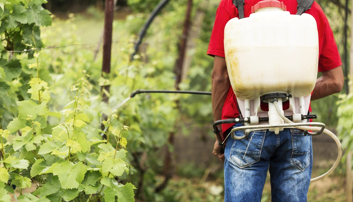 Projeto de Lei afrouxa norma que regulamenta o registro de agrotóxicos
