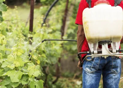 Projeto de Lei afrouxa norma que regulamenta o registro de agrotóxicos