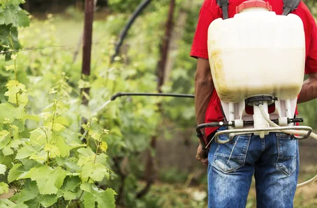 Projeto de Lei afrouxa norma que regulamenta o registro de agrotóxicos