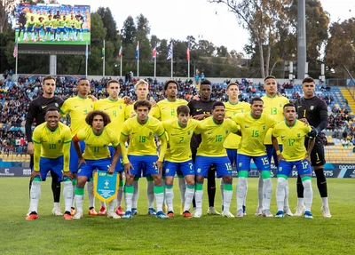 Seleção Brasileira nos Jogos Pan-Americanos de Santiago