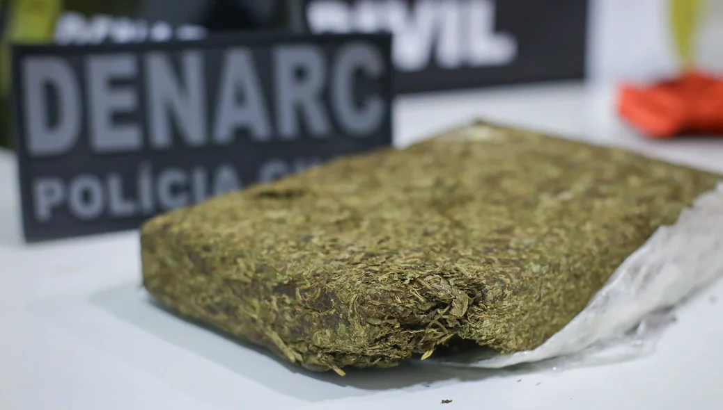 Super maconha apreendida pelo DENARC
