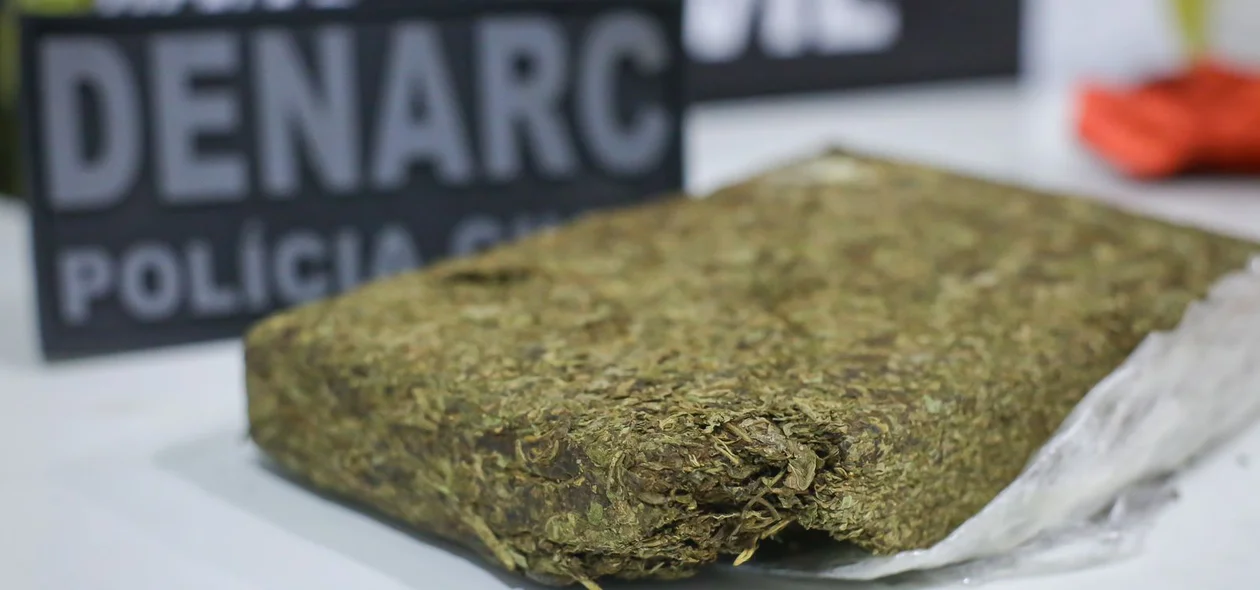 Super maconha apreendida pelo DENARC