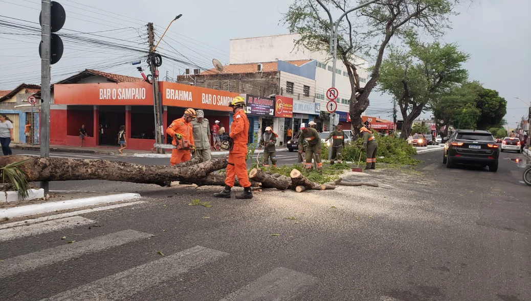 Vendaval em Teresina causa estragos