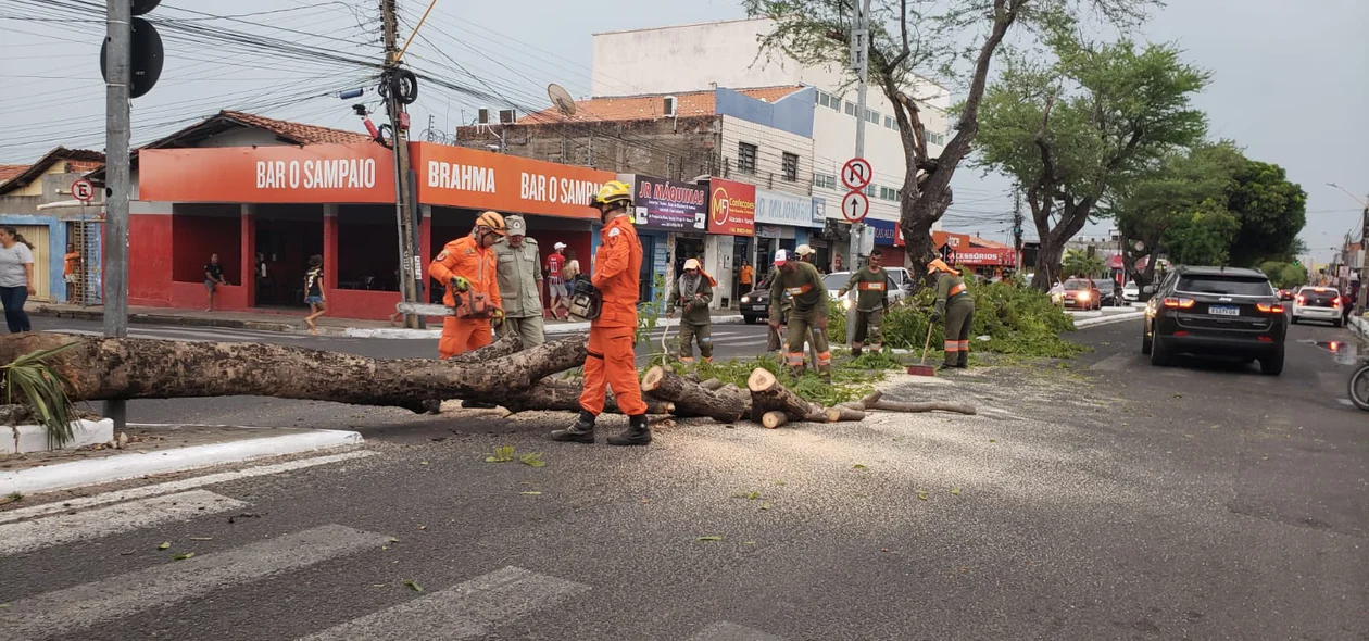 Vendaval em Teresina causa estragos