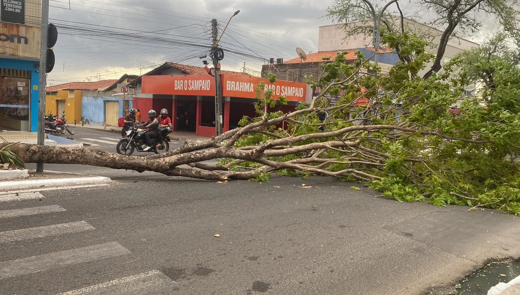 Vendaval em Teresina causou estragos
