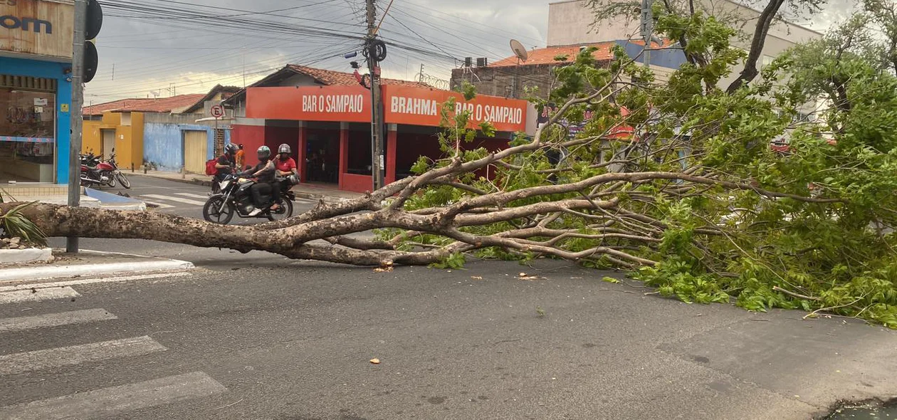 Vendaval em Teresina causou estragos