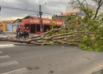 Vendaval em Teresina causou estragos