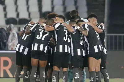 Derrocada do Botafogo no Brasileirão repercute na imprensa internacional