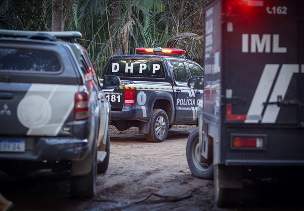 DHPP foi acionado para a ocorrência