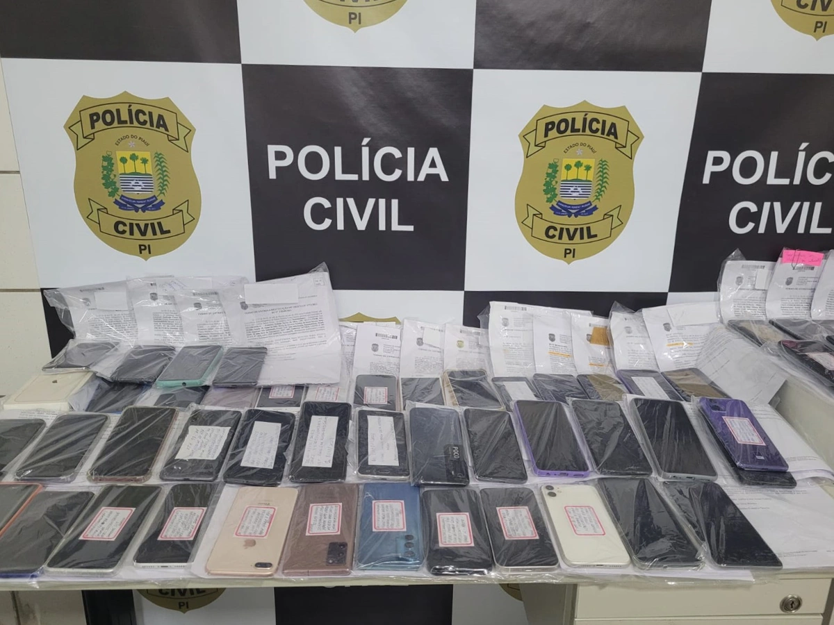 Material restituído pela Polícia Civil do Piauí