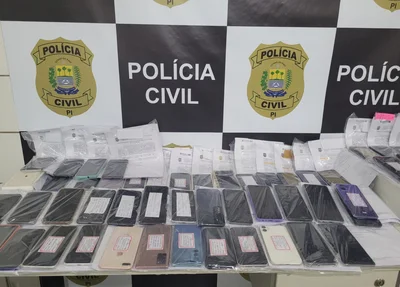 Material restituído pela Polícia Civil do Piauí