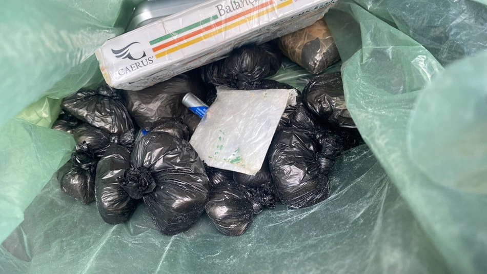 Operação CERCO FECHADO 28: apreende 138 sementes de maconha e arma de fogo em Paquetá do Piauí