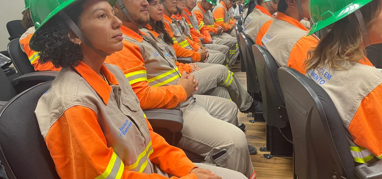 Os profissionais estão habilitados em todas as normas regulamentadoras necessárias para atuar no setor elétrico