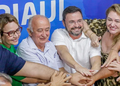 PSD oficializa apoio ao deputado Fábio Novo a prefeito de Teresina