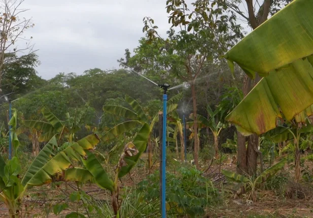 SAF entrega kits de irrigação e máquinas agrícolas para 19 municípios