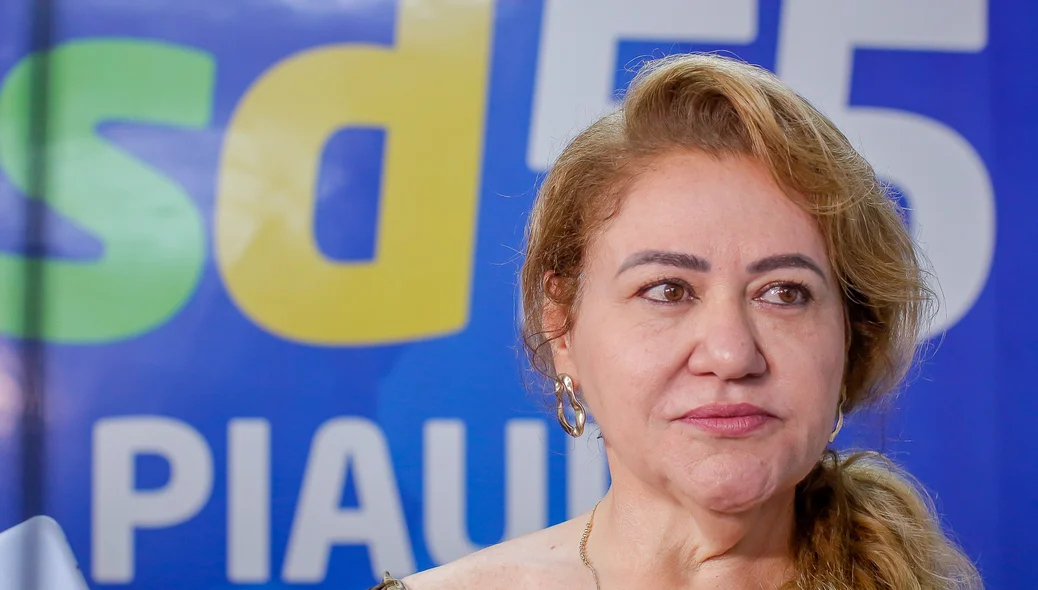 Simone Pereira, Deputada Estadual