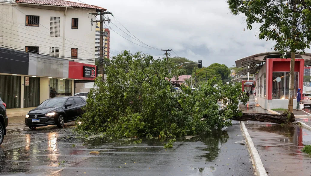 A chuva rápida causou estragos