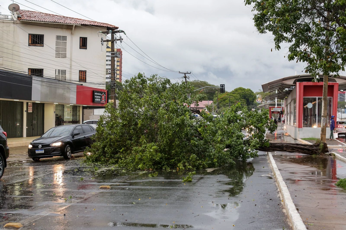 A chuva rápida causou estragos
