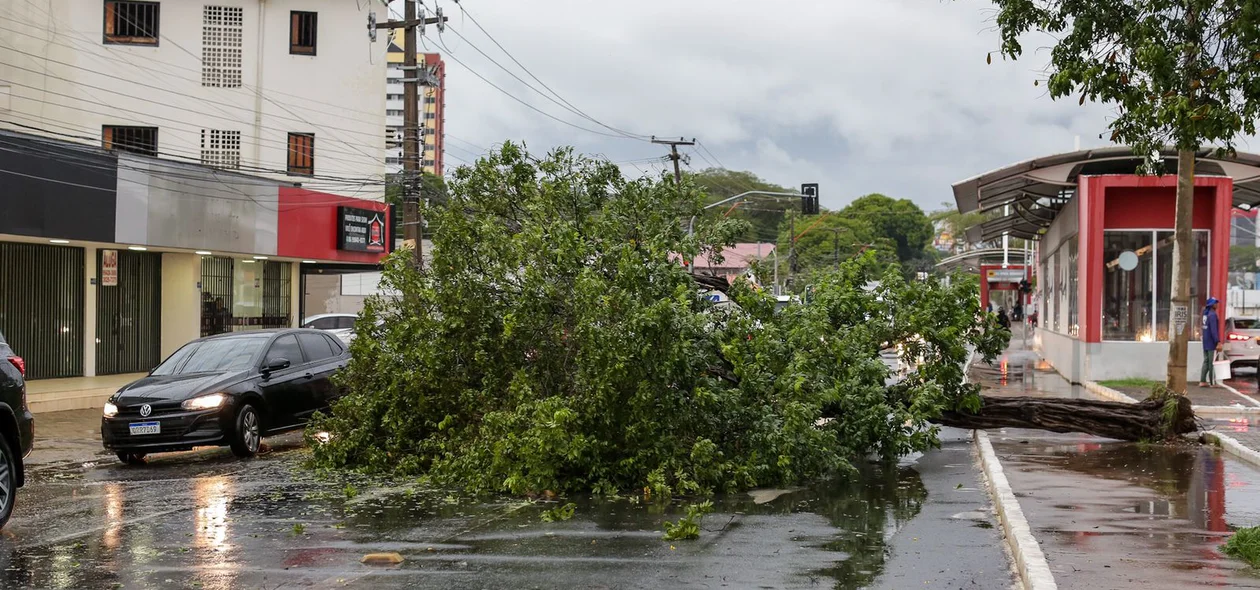 A chuva rápida causou estragos