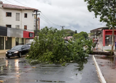 A chuva rápida causou estragos